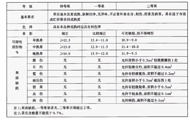 李子冷庫建造完成后如何用于儲存的？這些你都知道嗎