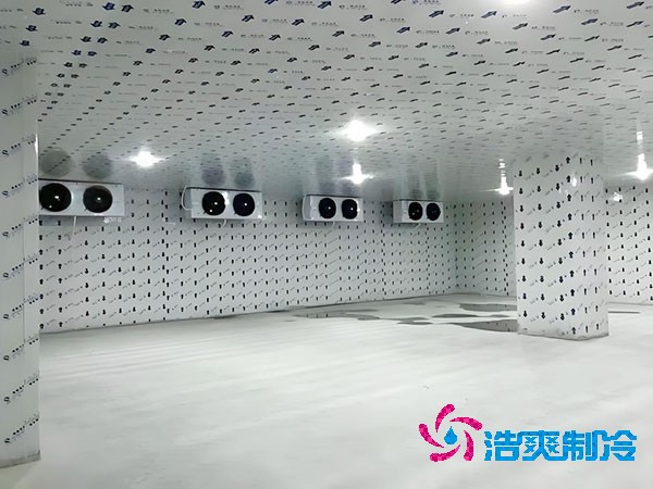 建一個生姜冷庫造價造價大概多少錢？-浩爽制冷