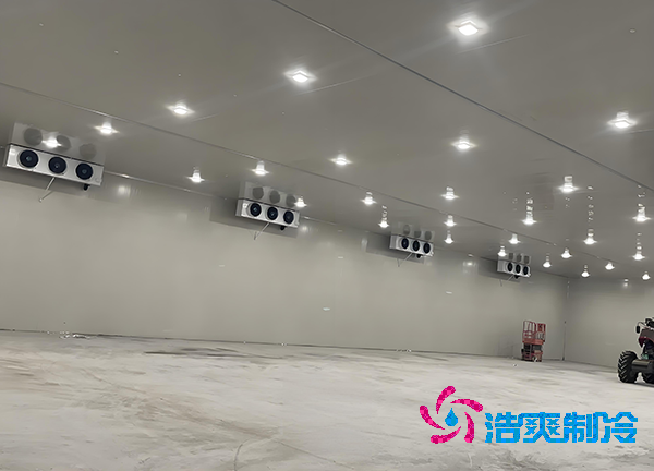 -18℃凍肉能放半年？揭秘食品冷庫造價秘密！-浩爽制冷