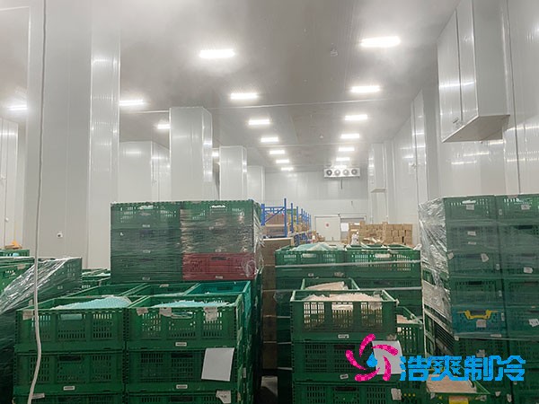 夏季蔬菜保鮮難？500噸冷庫(kù)建造價(jià)格揭秘！