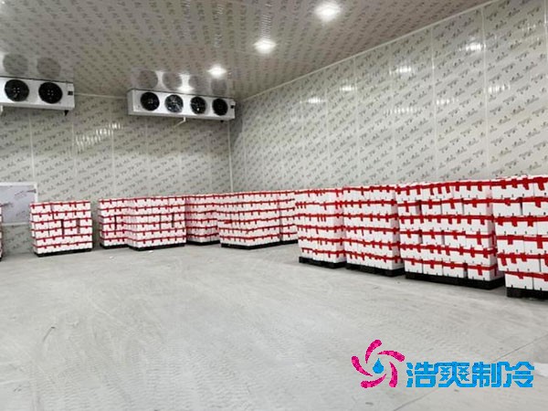 檳榔保鮮冷庫安裝造價費用多少錢？-浩爽制冷