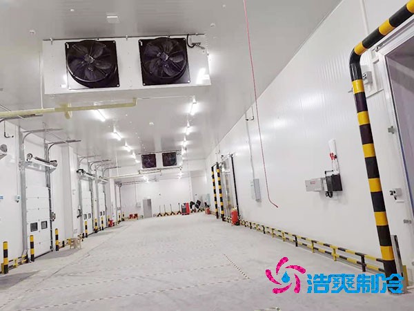 1000立方冷庫造價(jià)預(yù)算及耗電量解析