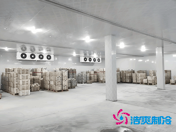 1000立方冷庫造價(jià)預(yù)算及耗電量解析